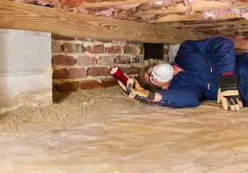 An termite specialist looking under a house for termites during Termite Inspections in Peoria IL