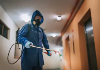 A tech is seen spraying for pests. If you're asking, "How to get rid of pests in my home?" call Albert's Termite & Pest Control.