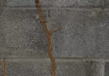 Mud tubes made by termites are seen on a foundation. If you want to know "How to get rid of termites?" call Albert’s Termite & Pest Control in Peoria IL.