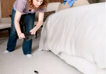 A woman is seen stalking a bug near a bed. What's the best home remedy for bugs? Albert's Termite & Pest Control in Peoria IL.